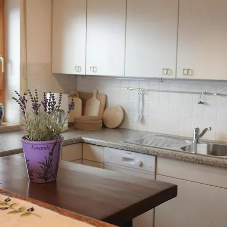 Apartment Ferienwohnung Holiday